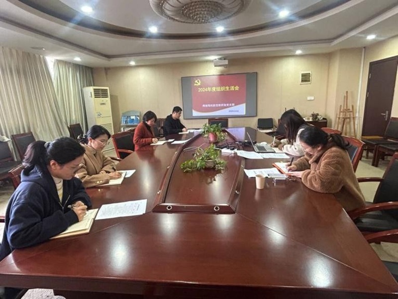 聚焦 2024 年度組織生活會(huì)，深化黨性錘煉與組織建設(shè)
