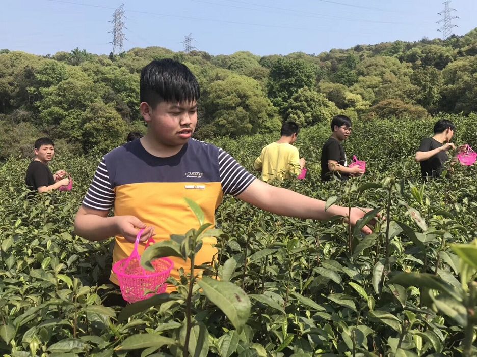 1555569195104078738.jpg 勞動實踐活動1.jpg